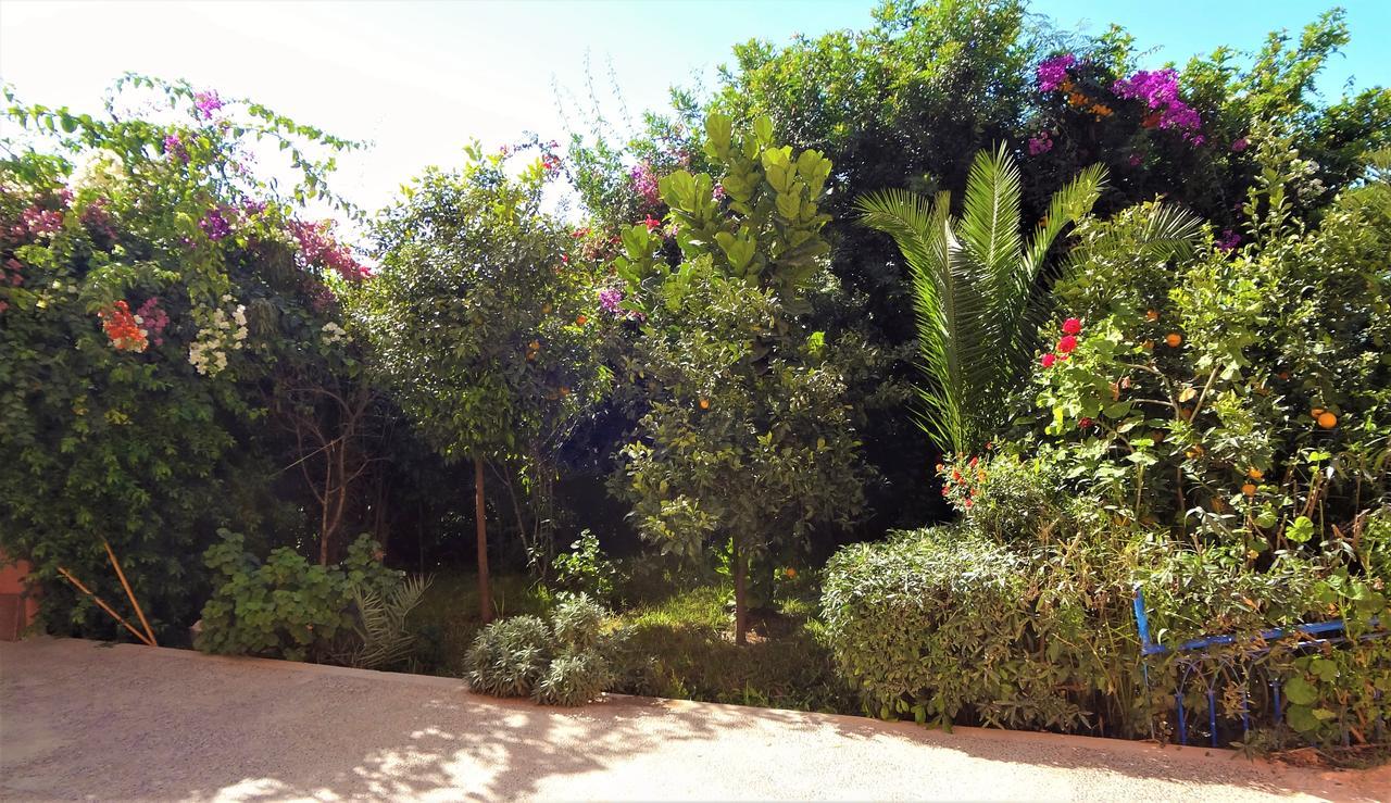 הוסטל Tamraght Ou Fella Surf & Yoga Paradise Morocco מראה חיצוני תמונה