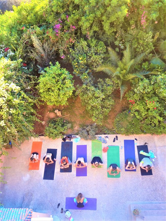 הוסטל Tamraght Ou Fella Surf & Yoga Paradise Morocco מראה חיצוני תמונה