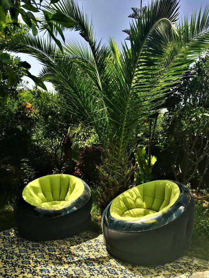 הוסטל Tamraght Ou Fella Surf & Yoga Paradise Morocco מראה חיצוני תמונה